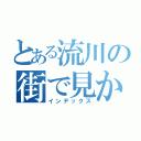 とある流川の街で見かけたら即逃げよう。危険思想の人だ。（インデックス）