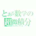 とある数学の超微積分（インティグラム）