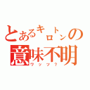 とある㌔㌧の意味不明（ワッツ？）