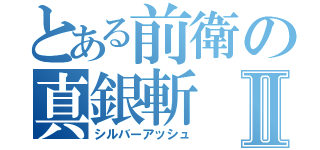 とある前衛の真銀斬Ⅱ（シルバーアッシュ）