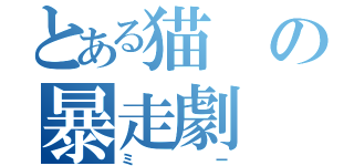 とある猫の暴走劇（ミー）