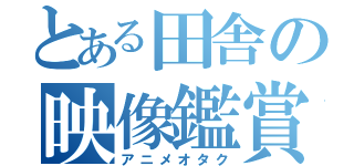 とある田舎の映像鑑賞（アニメオタク）