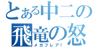 とある中二の飛竜の怒（メガフレア！）