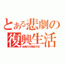 とある悲劇の復興生活（他馬的作業畫不完 ）