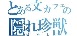 とある文カフェの隠れ珍獣（ばやし）