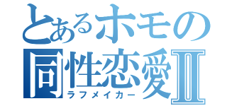 とあるホモの同性恋愛Ⅱ（ラフメイカー）