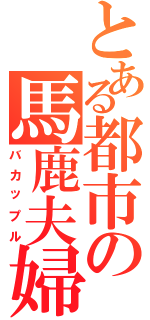 とある都市の馬鹿夫婦（バカップル）