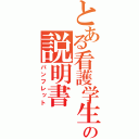 とある看護学生の説明書（パンフレット）