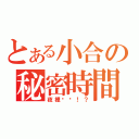 とある小合の秘密時間（夜裡偷偷！？）