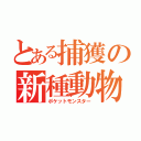 とある捕獲の新種動物（ポケットモンスター）