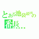 とある池袋最凶の番長（平和島静雄）