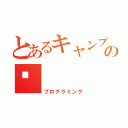 とあるキャンプの💻（プログラミング）