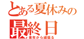 とある夏休みの最終日（来年から頑張る）