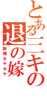 とある三キの退の嫁（新婚ホヤホヤ）