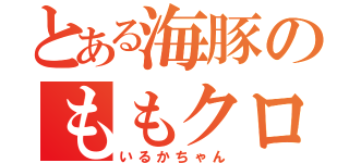 とある海豚のももクロちゃん（いるかちゃん）