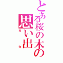 とある桜の木の思い出（宝物）