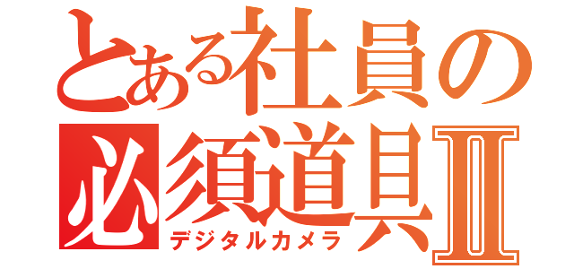 とある社員の必須道具Ⅱ（デジタルカメラ）