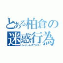 とある柏倉の迷惑行為（しゃしんさつえい）