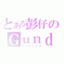 とある彭仔のＧｕｎｄａｍ（インデックス）