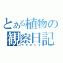 とある植物の観察日記（ウエキング）