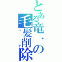 とある竜一の毛髪削除（ハゲ）