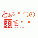 とある帅气の羽毛课长（ｆｅａｔｈｅｒ）