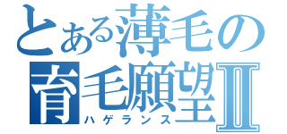 とある薄毛の育毛願望Ⅱ（ハゲランス）