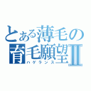 とある薄毛の育毛願望Ⅱ（ハゲランス）