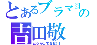 とあるブラマヨの吉田敬（どうかしてるぜ！！）