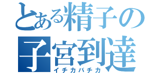 とある精子の子宮到達（イチカバチカ）