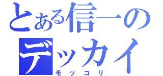 とある信一のデッカイ（モッコリ）