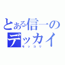 とある信一のデッカイ（モッコリ）