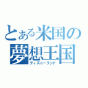 とある米国の夢想王国（ディズニーランド）