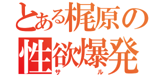 とある梶原の性欲爆発（サル）