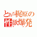 とある梶原の性欲爆発（サル）