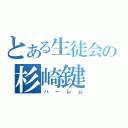 とある生徒会の杉崎鍵（ハーレム）