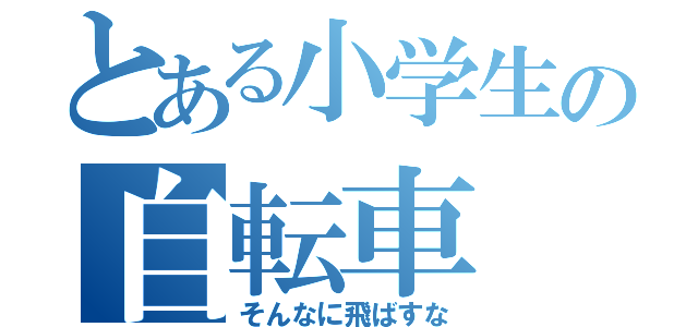 とある小学生の自転車（そんなに飛ばすな）