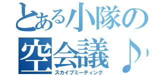 とある小隊の空会議♪（スカイプミーティング）