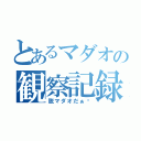 とあるマダオの観察記録（脱マダオだぁ〜）