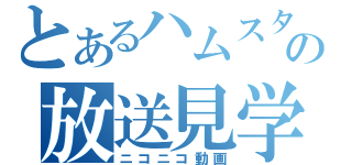 とあるハムスターの放送見学（ニコニコ動画）