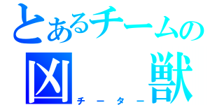 とあるチームの凶　　獣（チーター）