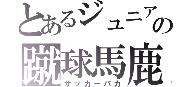 とあるジュニアの蹴球馬鹿（サッカーバカ）