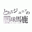 とあるジュニアの蹴球馬鹿（サッカーバカ）