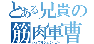 とある兄貴の筋肉軍曹（シュワルツェネッガー）