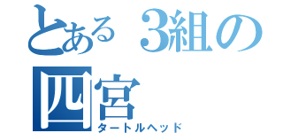 とある３組の四宮（タートルヘッド）