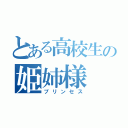 とある高校生の姫姉様（プリンセス）