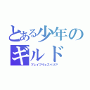 とある少年のギルド（ブレイブヴェスペリア）