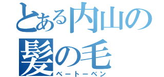 とある内山の髪の毛（ベートーベン）