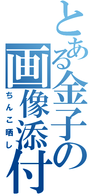 とある金子の画像添付（ちんこ晒し）