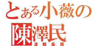 とある小薇の陳澤民 （凌親集團）